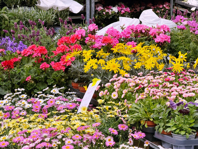 🌸 Columbia Road Flower Market: East London’s Sunday Bloom