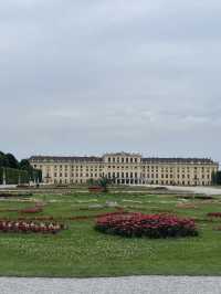 Waltzing through Vienna