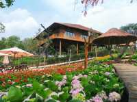 coco village 