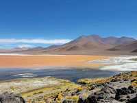 해외여행 볼리비아의 붉은 호수 Laguna Colorada