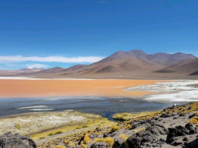해외여행 볼리비아의 붉은 호수 Laguna Colorada