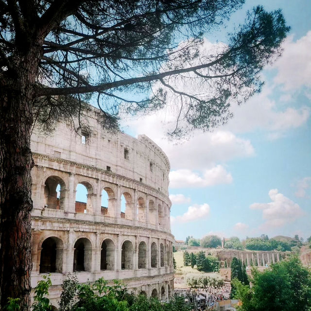 Gladiator’s Ground: Inside the Mighty Colosseum