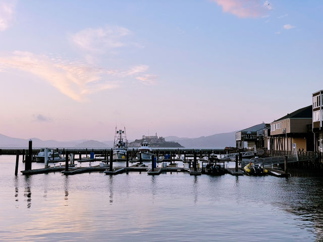 Golden Gates & Hidden Lanes: Exploring San Francisco Like a Local