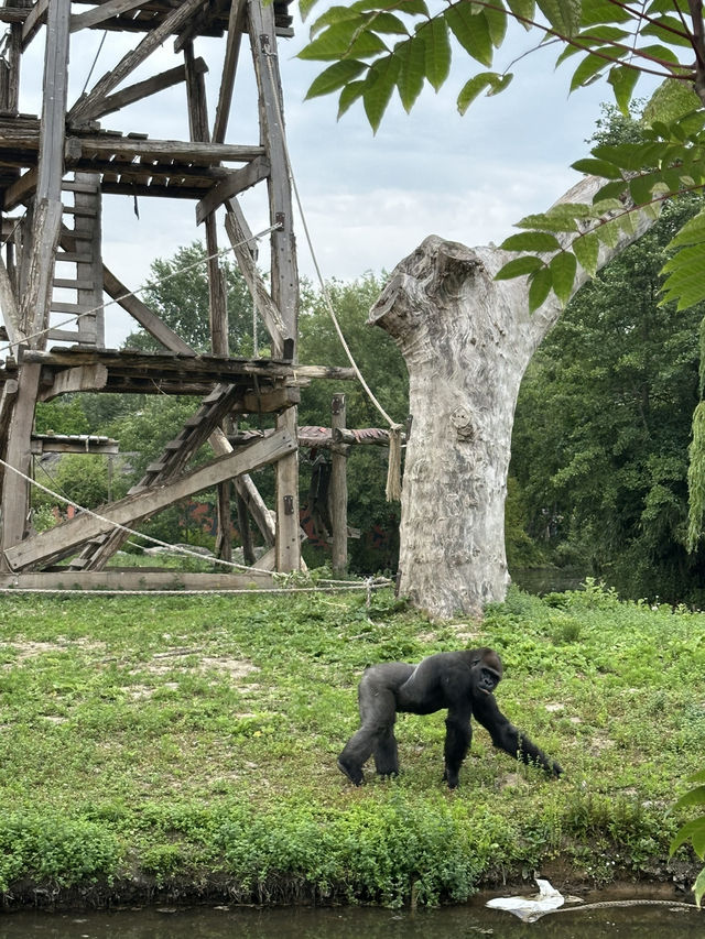 Best Europe Zoo in Belgium