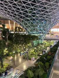 ✈️🌟 Hamad International Airport – The Gateway to the Future in Doha, Qatar 🌟✈️