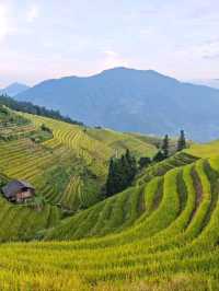 🌾 Longji Rice Terraces: A Living Masterpiece in the Mountains 🌄