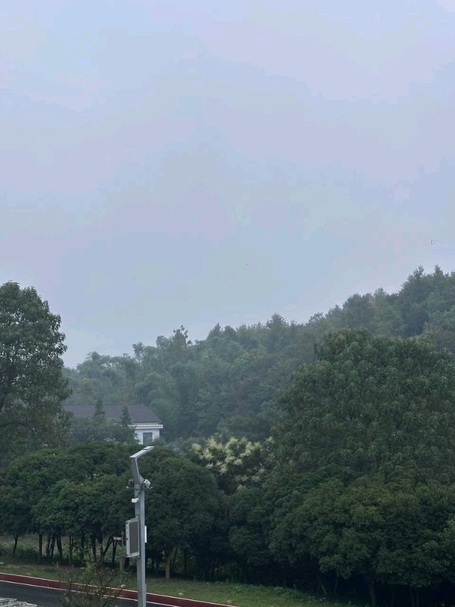 🌿 Rainy Day Retreat: Cozy Moments & Quiet Views ☕🌧️