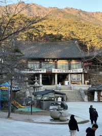Get Ready to discover the hidden wonders of Daegu!