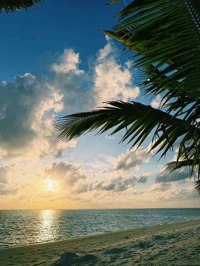 Add Riu Palace to your travel bucket list today! 🌊✨Why? Read