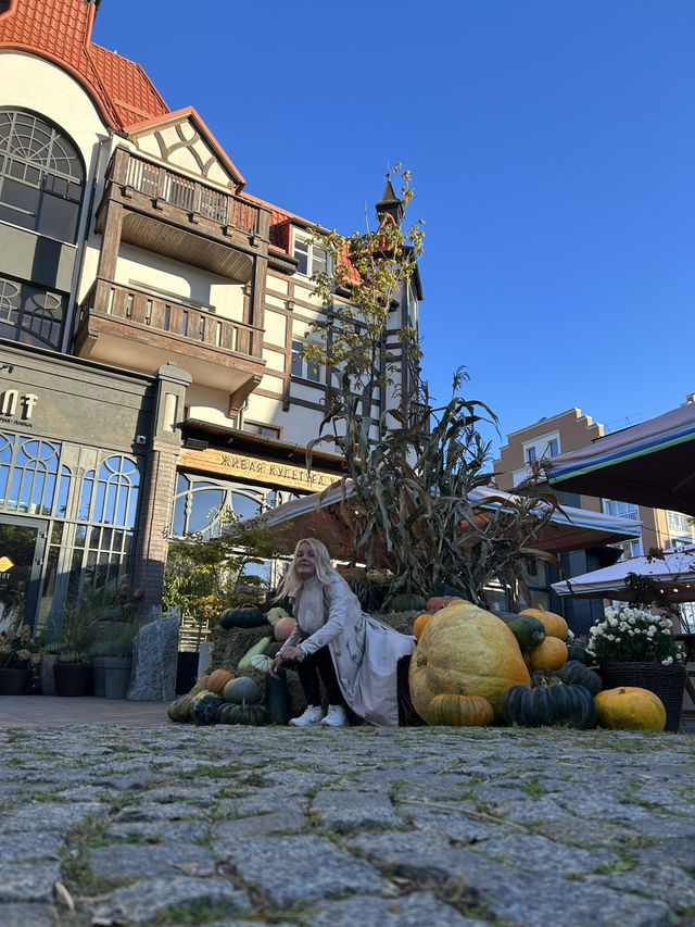 Green Seasons: Autumn Stroll Along Kurortny Prospekt in Zelenogradsk 🌾🌿 Green Seasons: Autumn Stroll Along Kurortny Prospekt in Zelenogradsk 🌾🌿