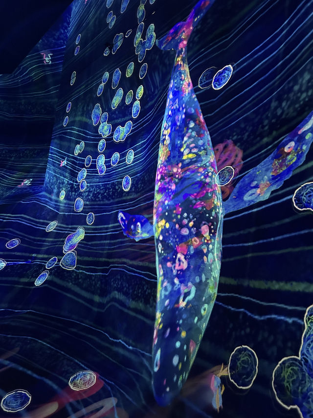 TeamLab Wonders✨   TeamLab Wonders✨