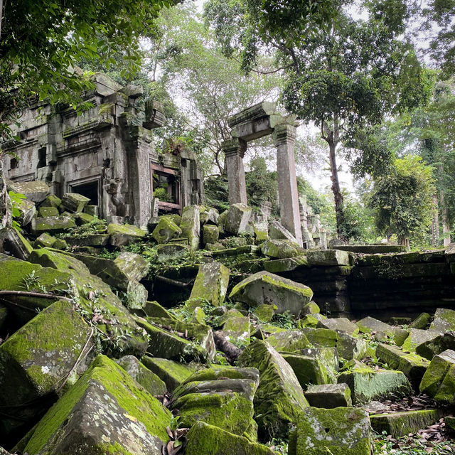 Самостоятельно в поисках сокровищ Ангкора.