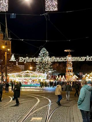 Fairy Feast Vibes✨