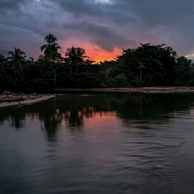 Paradise:Tayrona National Park 🏖🌿🦜