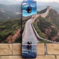 Travel everywhere with your skateboards
