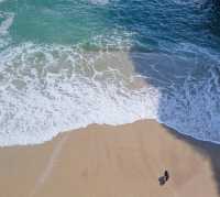 Shark Bay!