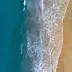 sarahwhale