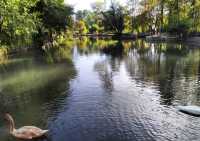 Pretty park with natural spring water