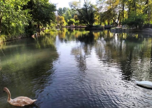 Pretty park with natural spring water