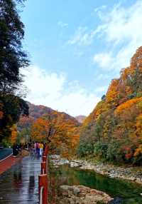 光霧山之米倉山景區