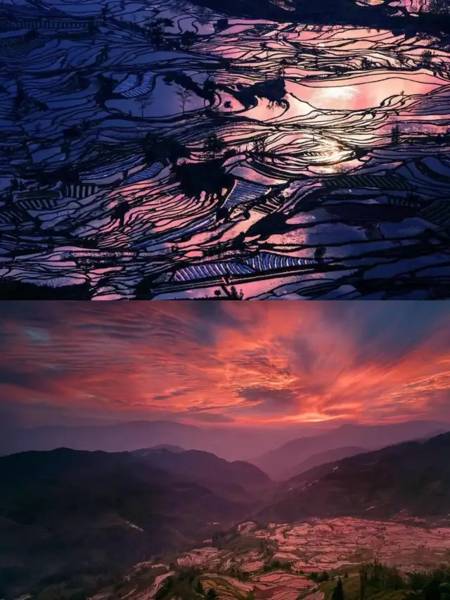 ฮานีเทอเรส - จานสีของพระเจ้า