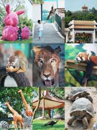中山遊玩｜寶藏紫馬嶺動物園