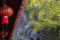 完美,懸空寺遇上700年銀杏王