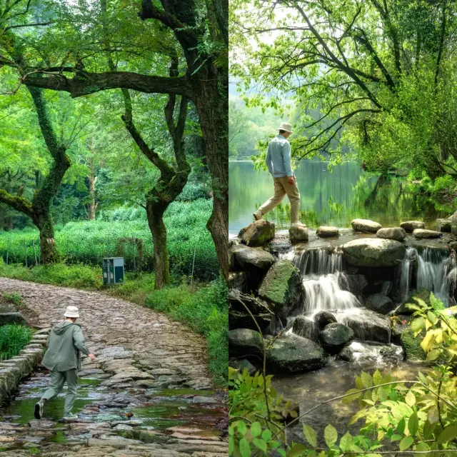 Experience the green tour of Hangzhou