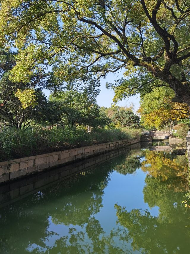 寧波月湖公園—— 精緻的園林湖泊