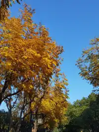 這難道就是