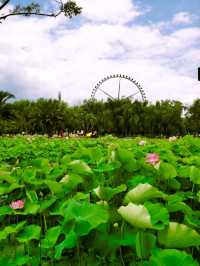 【雲南·大觀公園】之旅，第二彈