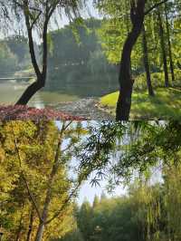 無錫免費公園之一一尚賢河濕地公園