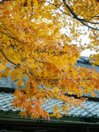 京都景點｜詩仙堂丈山寺