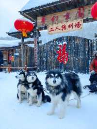 中國雪鄉我來啦，隨手一拍就是冬日壁紙