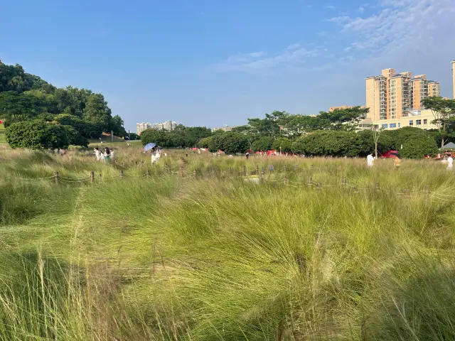 紅花山公園