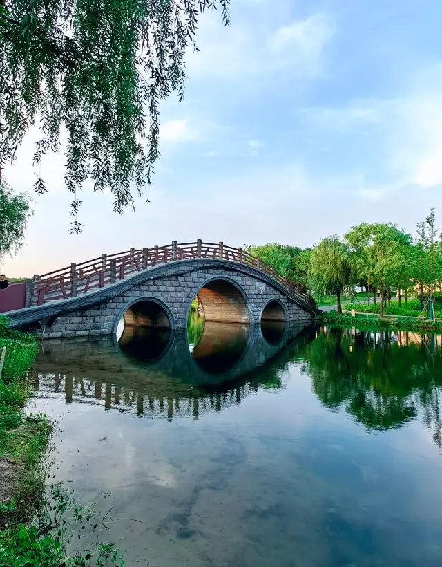 Jinhai Wetland Park, it's not just about wetlands