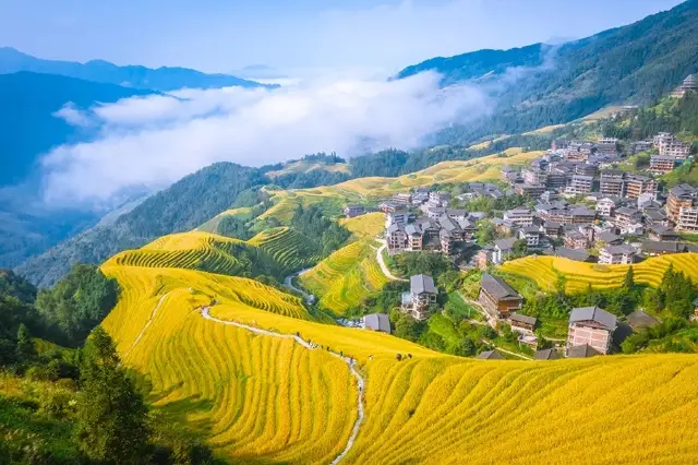 Lịch trình sản xuất lúa mới nhất của Ruộng bậc thang Longji năm 2023
