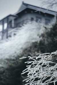 武漢的雪，落在了木蘭山之上