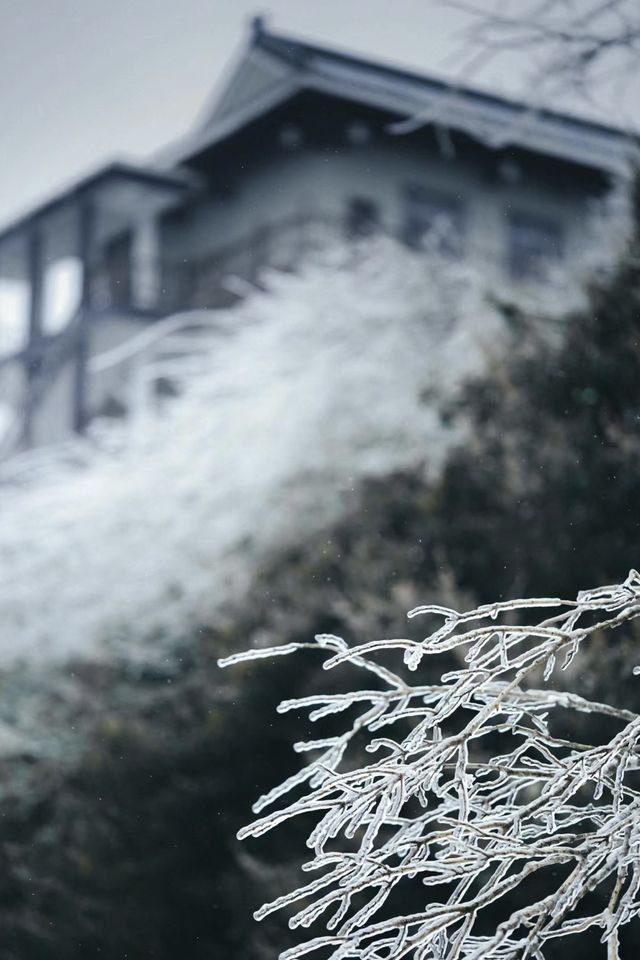武漢的雪，落在了木蘭山之上