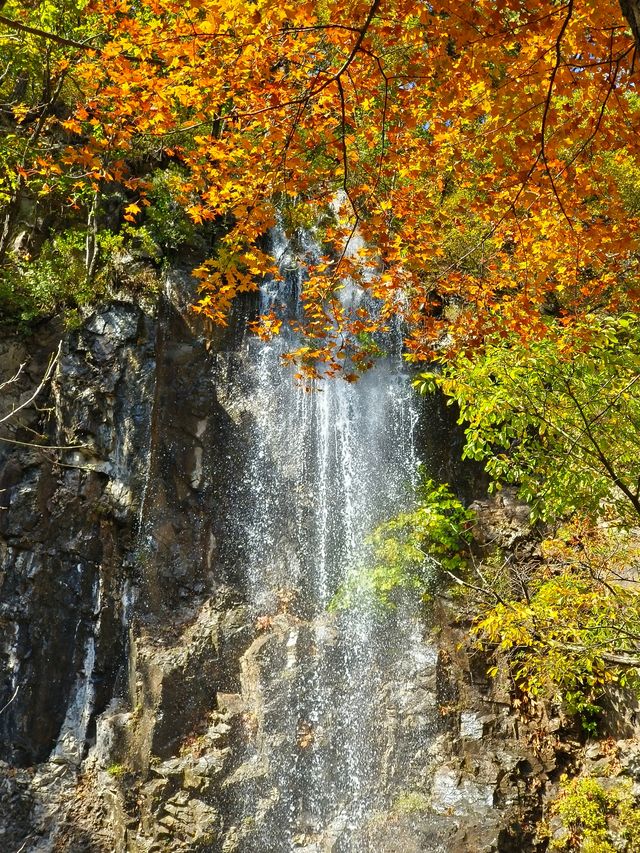 本溪盤錦紅海灘國家風景廊道之行