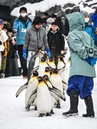 來旭川動物園必知的6件事！