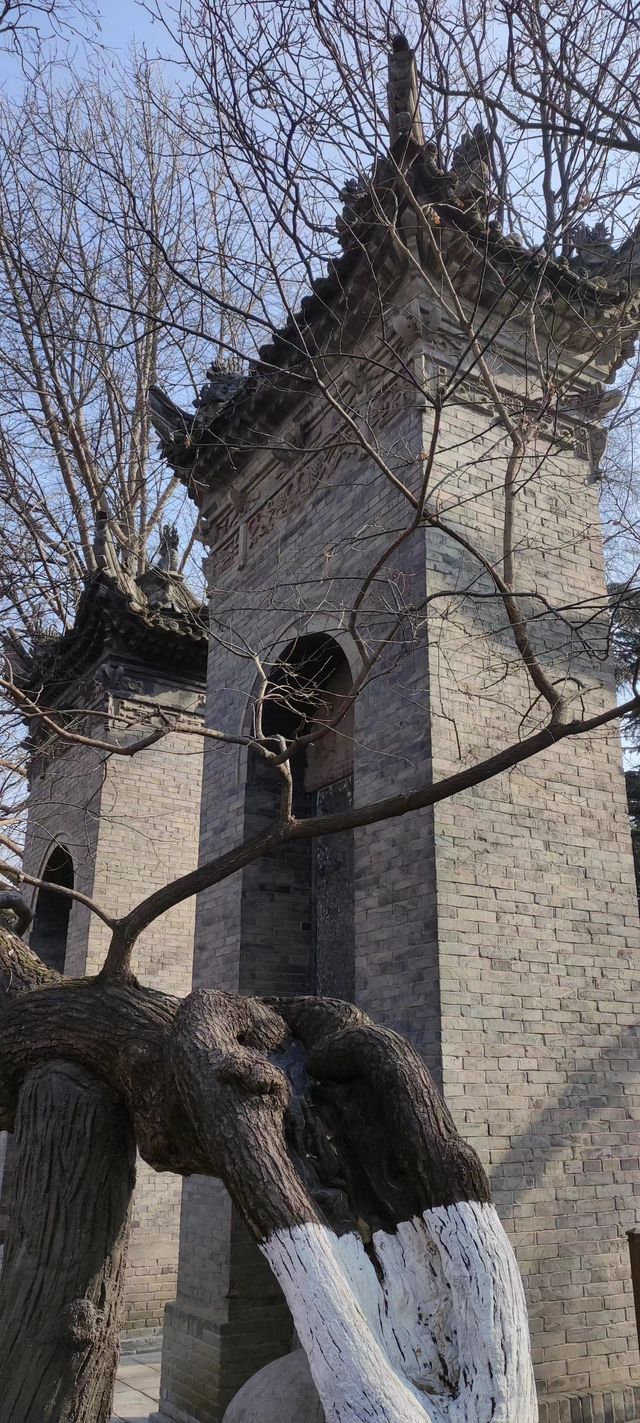 歷經多次地震都能屹立不倒的小雁塔 歷經多次地震都能屹立不倒的小雁塔