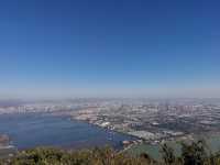 誰還沒有來昆明海埂大壩餵海鷗？
