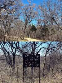 達拉斯丨獨自旅行•Arbor Hills Trail