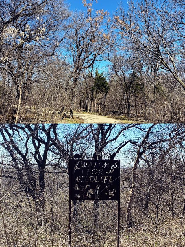 達拉斯丨獨自旅行•Arbor Hills Trail