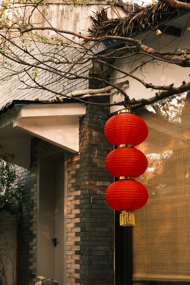 海珠湖丨在城市中的花園裡漫步|