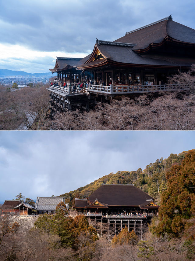 京都旅行必打卡，人氣爆棚的千年古剎