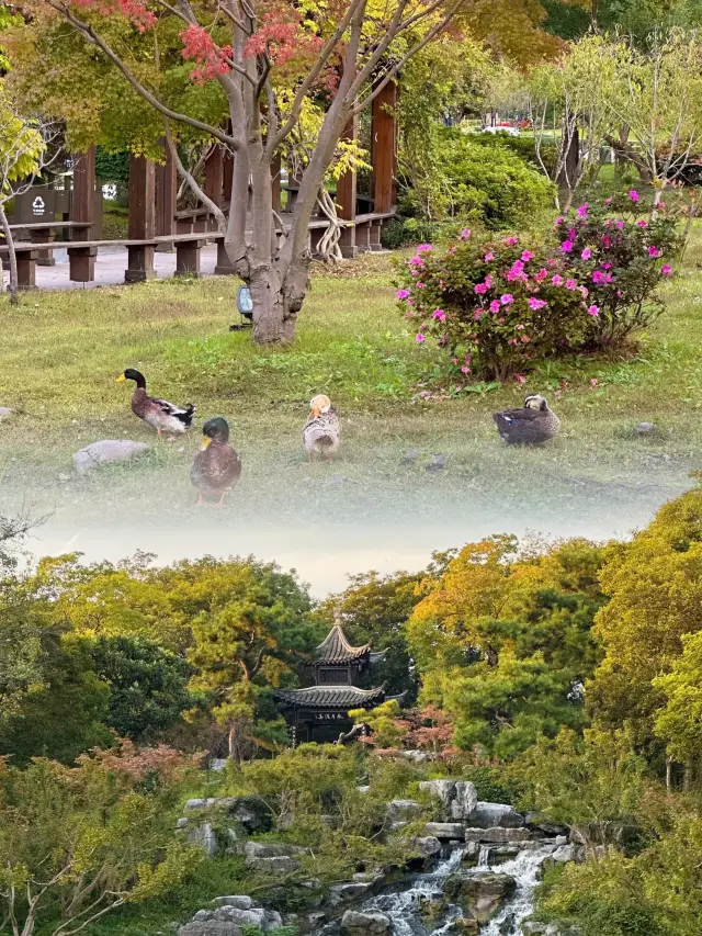 One can never swim enough in the Slim West Lake, nor can one ever finish admiring the gardens of Yangzhou