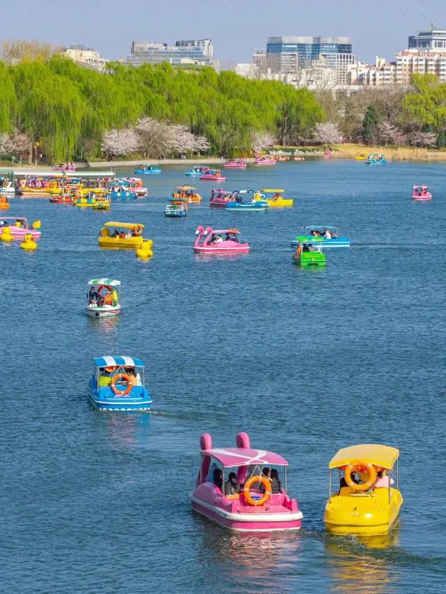 Beijing's boating and flower-viewing at the Summer Palace and Beihai Park are about to open