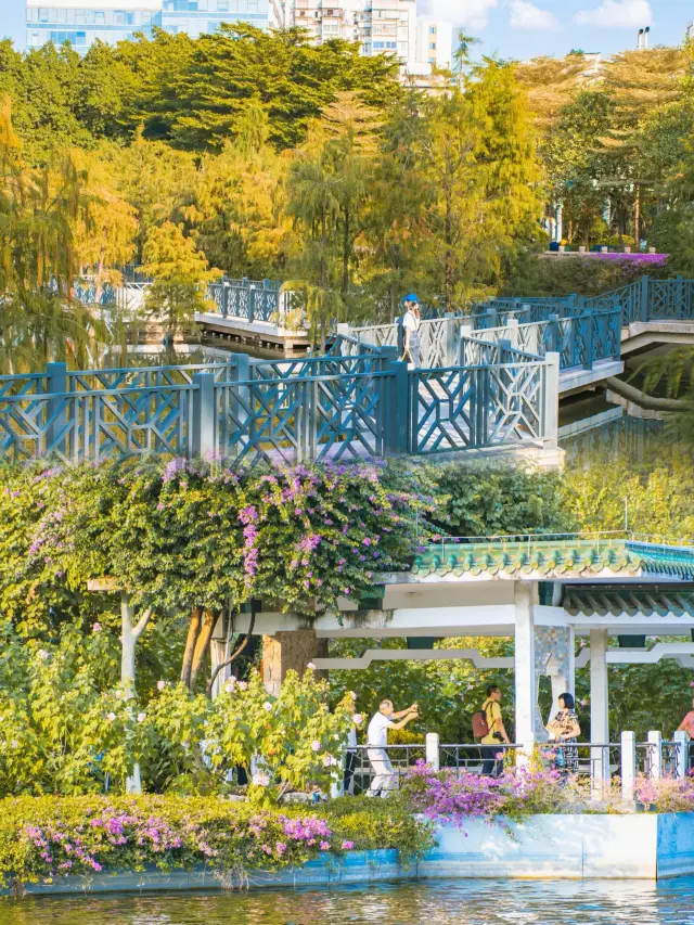 流花湖 | 私はこれを広州で最もロマンチックな公園と呼びたい